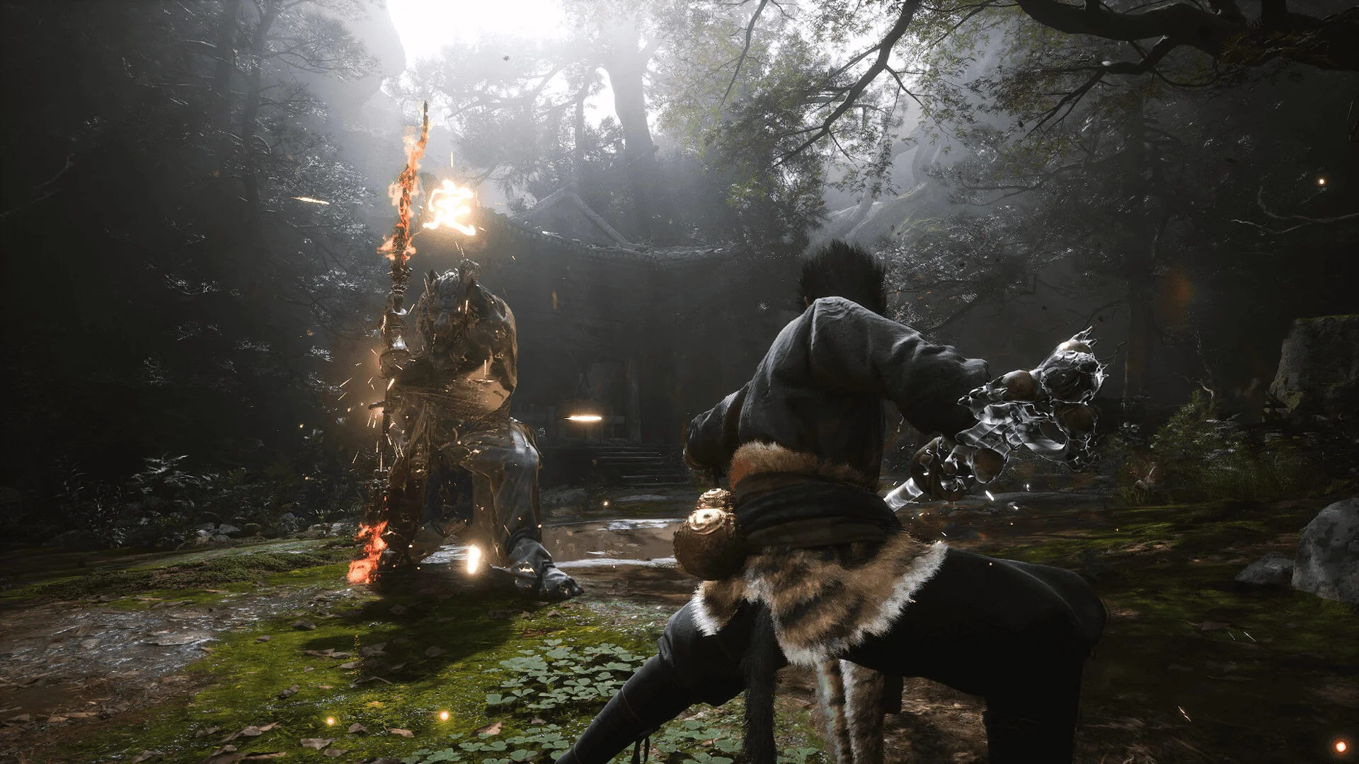 Black Myth: Wukong — in-game screenshot showing the Immobilize spell (定) freezing a wolf guai mid-combo in a misty forest